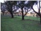 282 Bald Hills Road, Inman Valley SA 5211