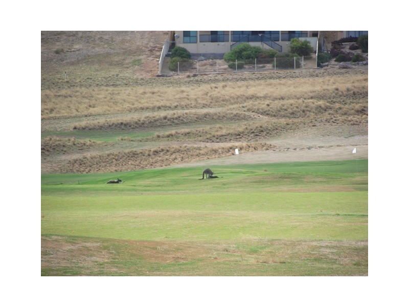 Lot 80, 6 St Andrews Blvd, Normanville SA 5204