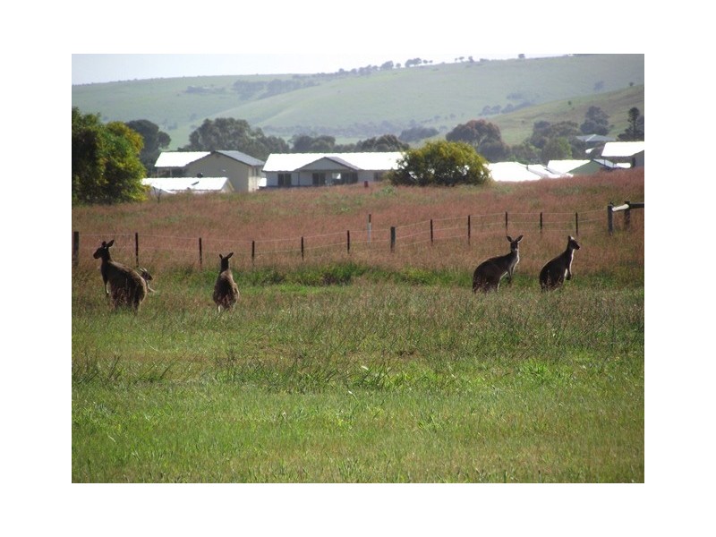 Lot 80, 6 St Andrews Blvd, Normanville SA 5204