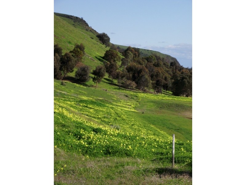 Lot 43 Birkdale Street, Normanville SA 5204