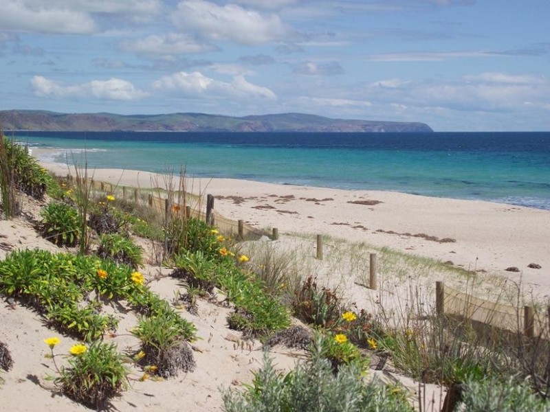 Lot 513, 20 Gold Coast Dr & Cnr Lyddon Rd, Carrickalinga SA 5204