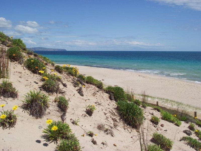 Lot 513, 20 Gold Coast Dr & Cnr Lyddon Rd, Carrickalinga SA 5204
