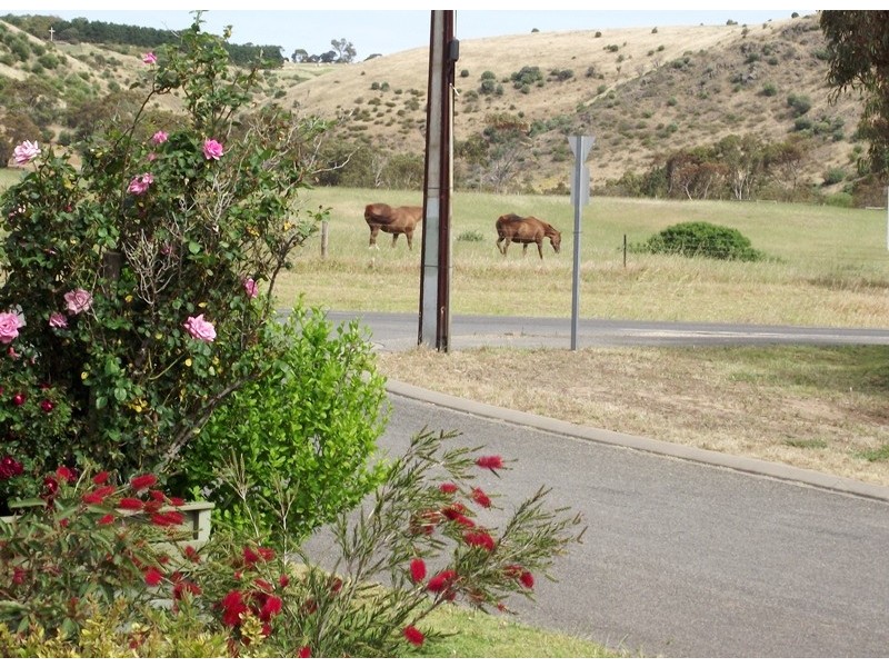 Lot 326, 3 Guinea Place, Carrickalinga SA 5204