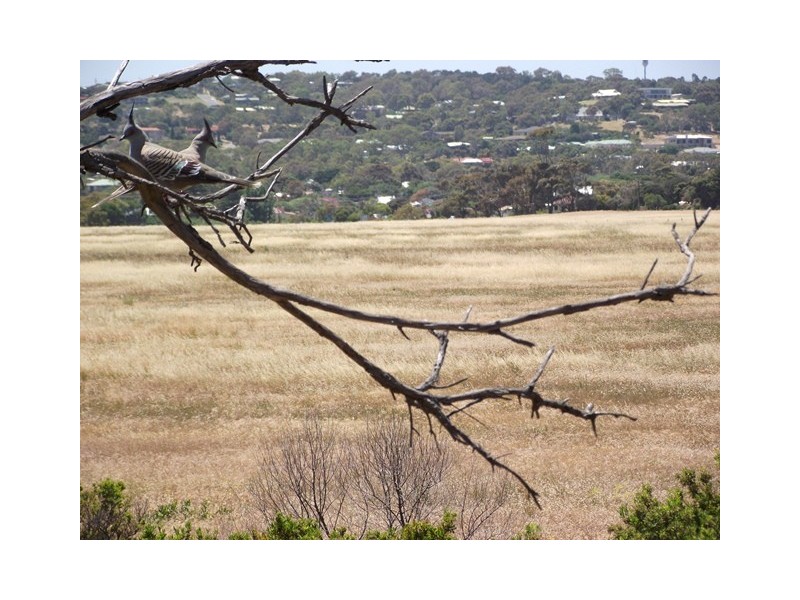 Lot 14, 32/107 Main South Rd, Normanville SA 5204