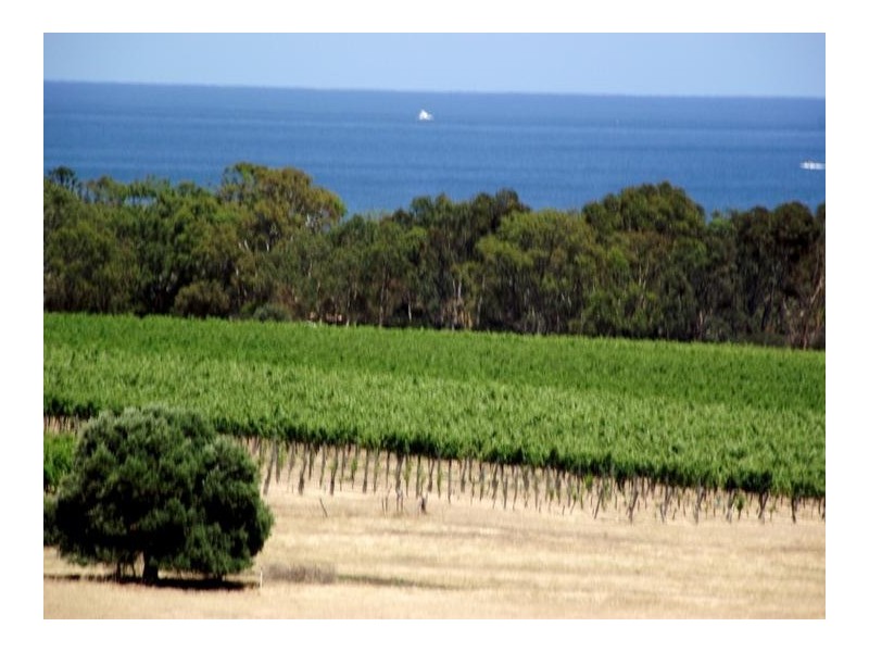 Lot 218,  Birkdale Street, Normanville SA 5204