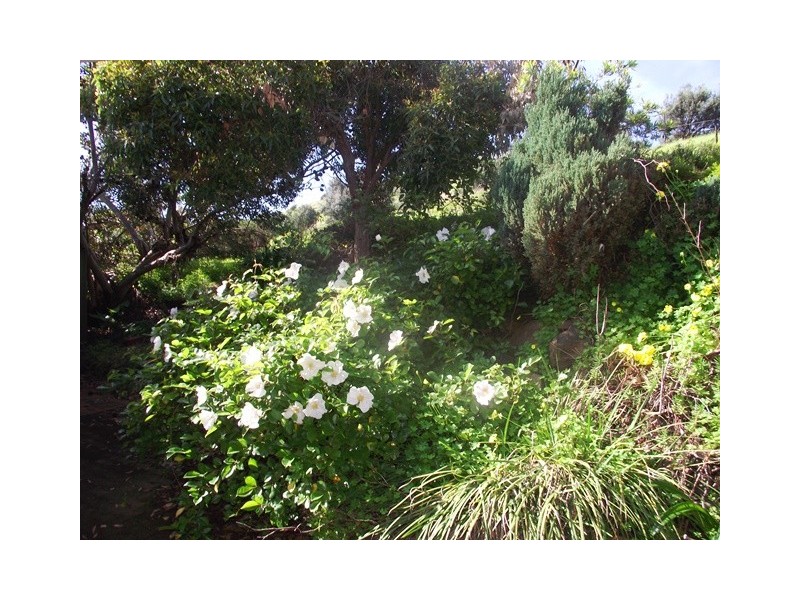 11 Solitude Dr, Carrickalinga SA 5204