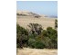 Lot 1, Lot 1 George Drive, Yankalilla SA 5203