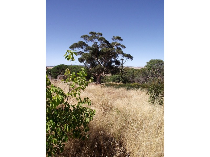 Lot 1, Lot 1 George Drive, Yankalilla SA 5203