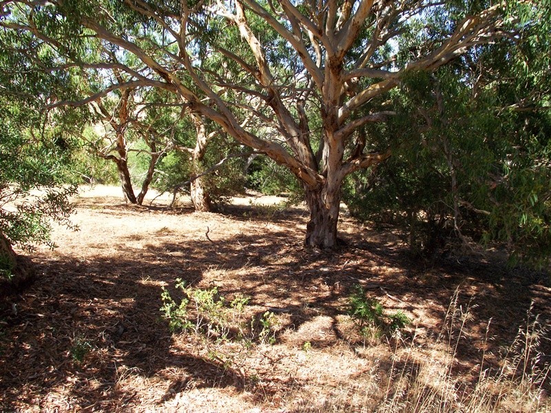 Lot 1, Lot 1 George Drive, Yankalilla SA 5203