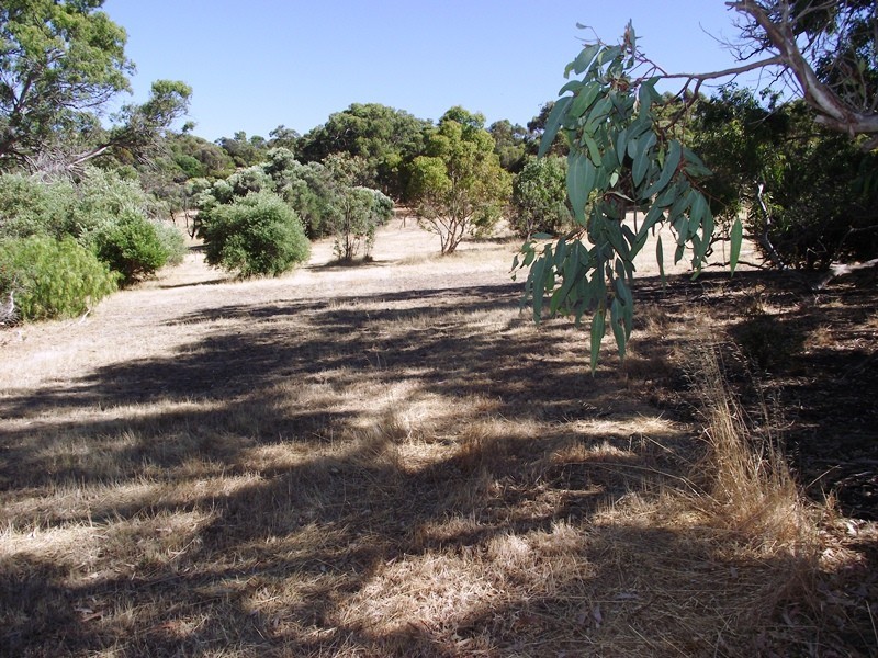 Lot 1, Lot 1 George Drive, Yankalilla SA 5203