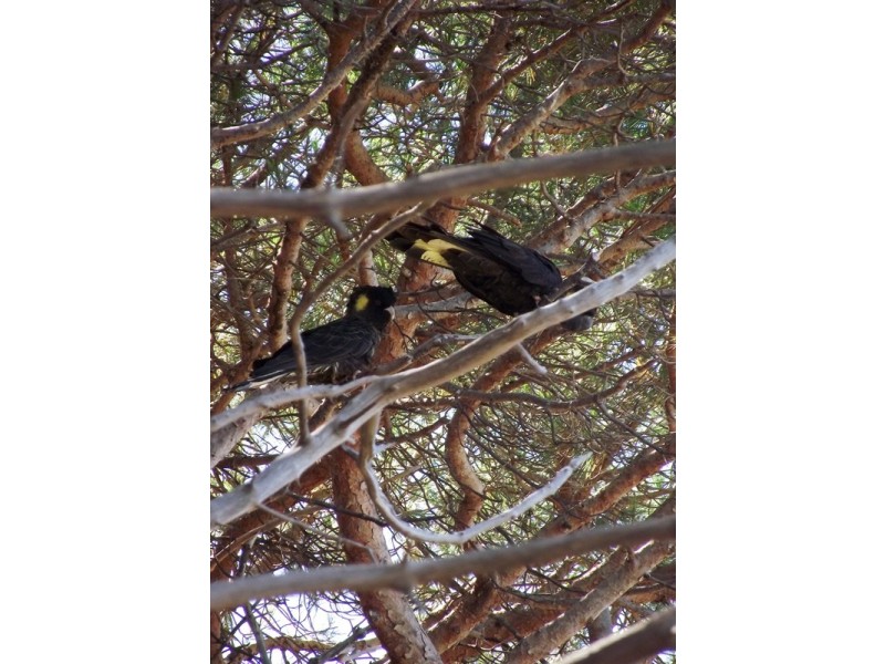 Lot 1, Lot 1 George Drive, Yankalilla SA 5203