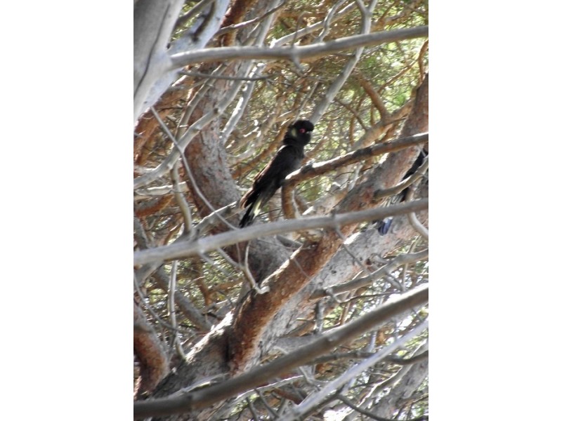 Lot 3, 3 & 4 George Drive, Yankalilla SA 5203