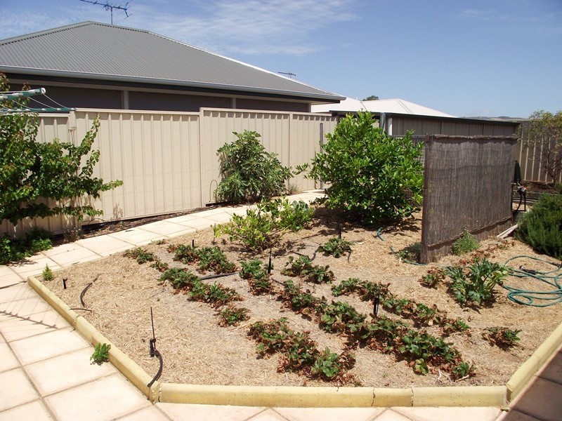 Lot 116, 1 Henry Crt, Normanville SA 5204