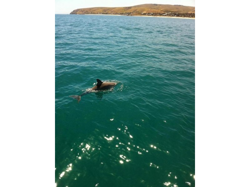 Lot 1, Berth C12 Marina Avenue, Wirrina Cove SA 5204