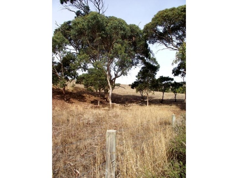 Lot 51 Bullaparinga Crescent, Delamere SA 5204