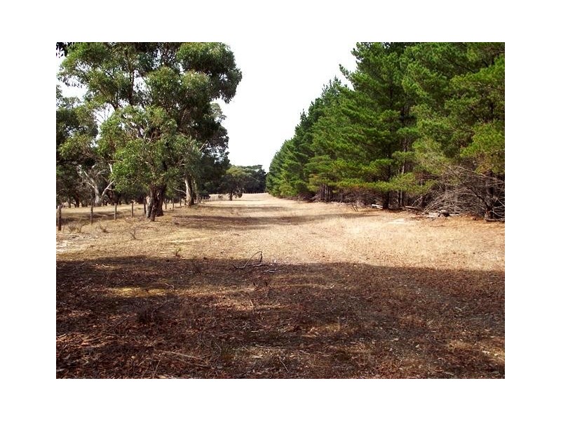 Lot 51 Bullaparinga Crescent, Delamere SA 5204