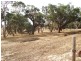 Lot 51 Bullaparinga Crescent, Delamere SA 5204