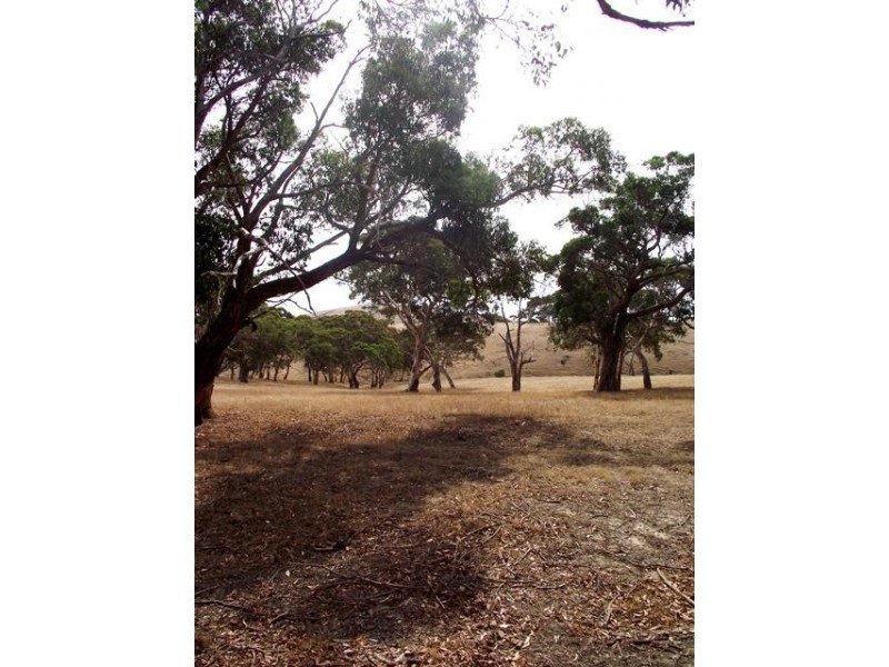 Lot 51 Bullaparinga Crescent, Delamere SA 5204