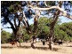 Lot 363 Rapid Bay Road, Delamere SA 5204