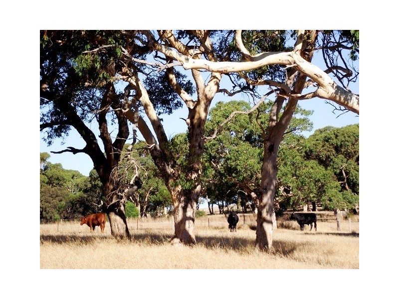 Lot 363 Rapid Bay Road, Delamere SA 5204