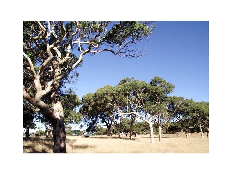 Lot 363 Rapid Bay Road, Delamere SA 5204