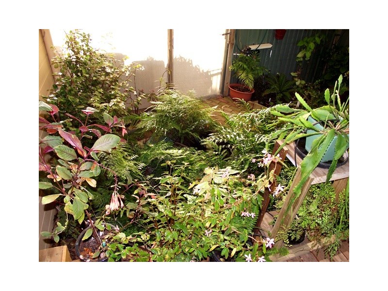 Villa 16 Beachside Village, Normanville SA 5204