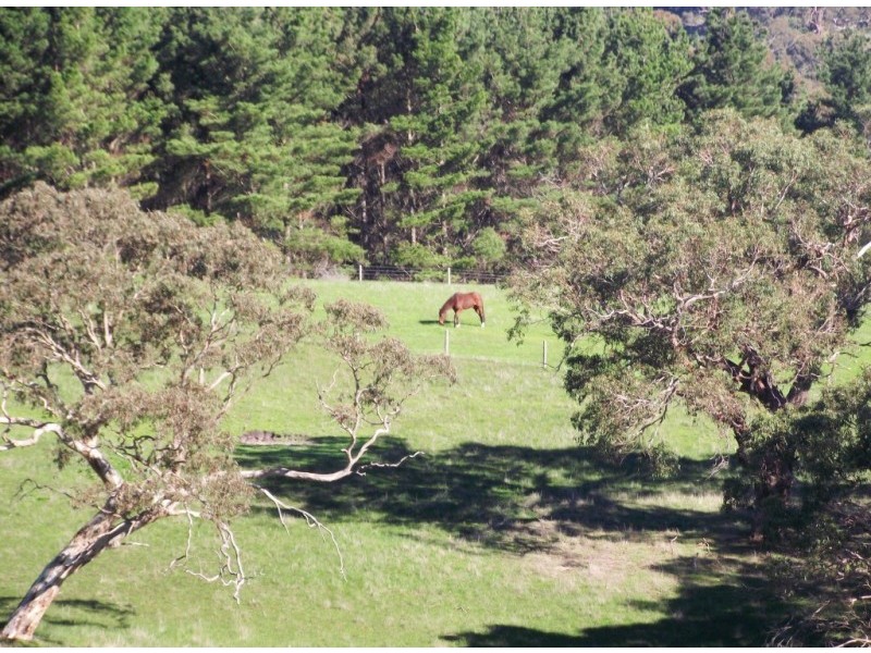 Lot Lot 51,  Bullaparinga Cres, Delamere SA 5204