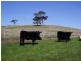 Lot Lot 51,  Bullaparinga Cres, Delamere SA 5204