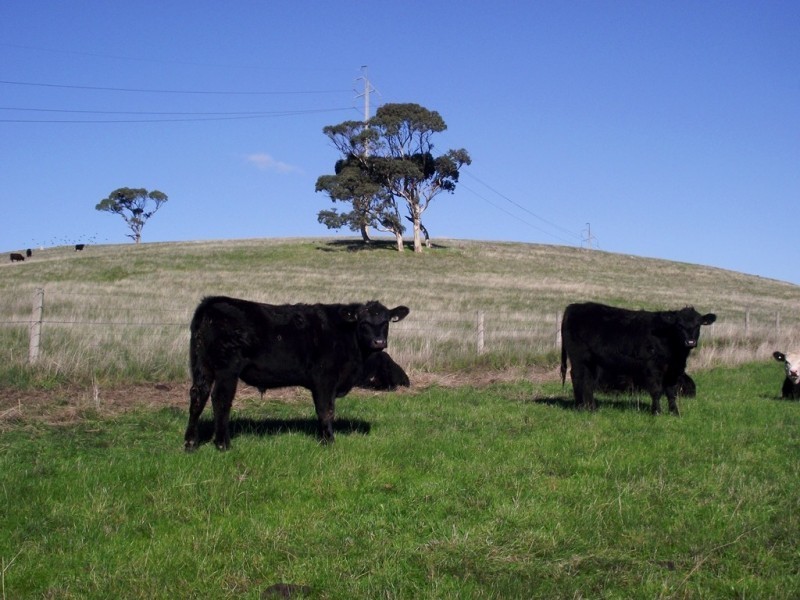 Lot Lot 51,  Bullaparinga Cres, Delamere SA 5204