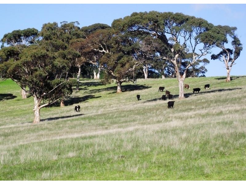 Lot Lot 51,  Bullaparinga Cres, Delamere SA 5204