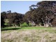 Lot Lot 51,  Bullaparinga Cres, Delamere SA 5204