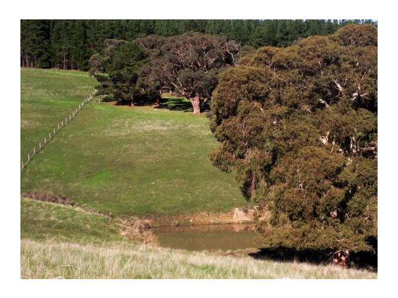Lot Lot 51,  Bullaparinga Cres, Delamere SA 5204