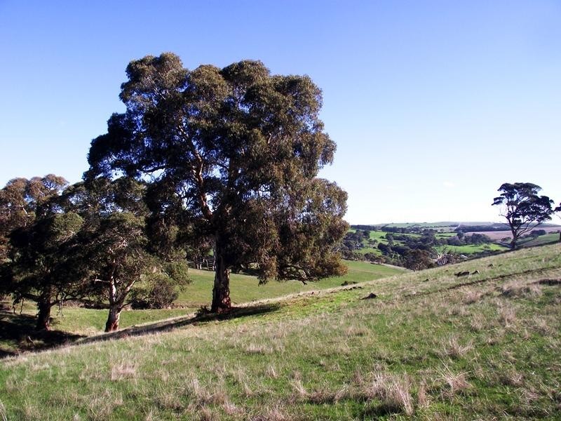 Lot Lot 51,  Bullaparinga Cres, Delamere SA 5204