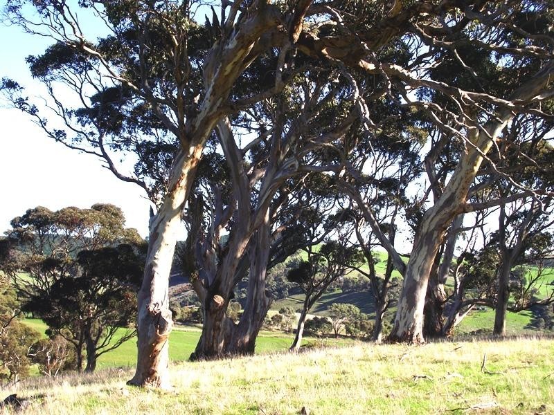 Lot Lot 51,  Bullaparinga Cres, Delamere SA 5204