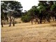 Lot Lot 51,  Bullaparinga Cres, Delamere SA 5204