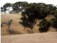 Lot Lot 51,  Bullaparinga Cres, Delamere SA 5204