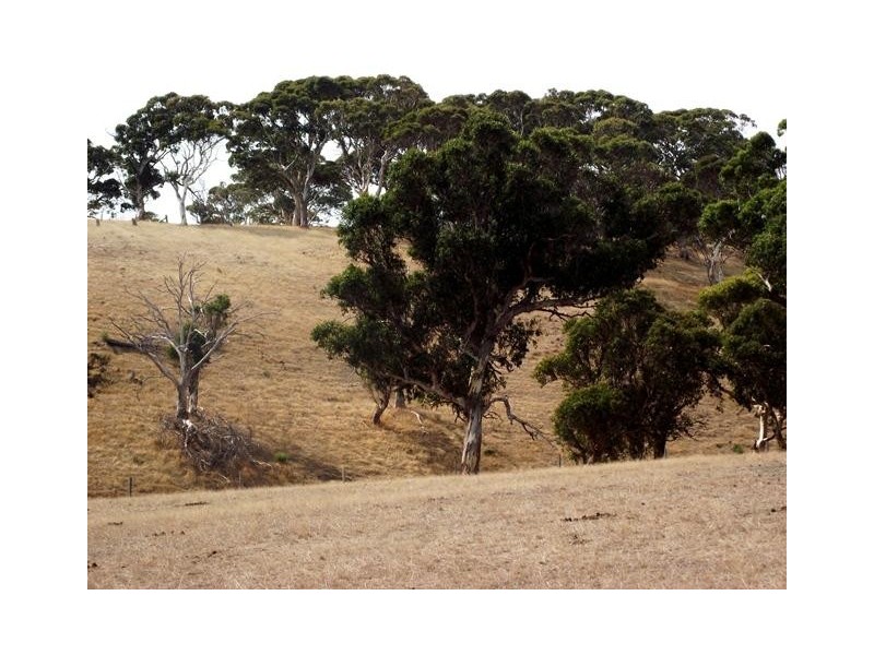 Lot Lot 51,  Bullaparinga Cres, Delamere SA 5204