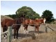 Lot Lot 51,  Bullaparinga Cres, Delamere SA 5204
