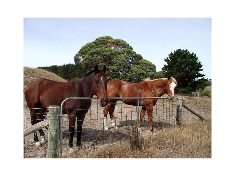 Lot Lot 51,  Bullaparinga Cres, Delamere SA 5204