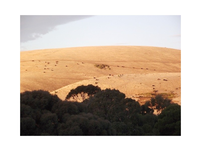 2 Seacove Crescent, Second Valley SA 5204