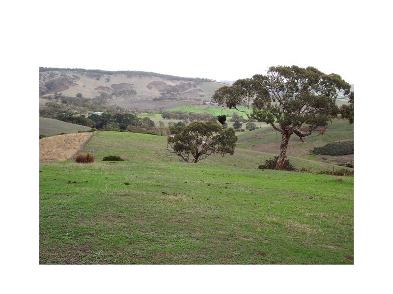 Lot 113, Lot 113 Taverner Road, Torrens Vale SA 5203