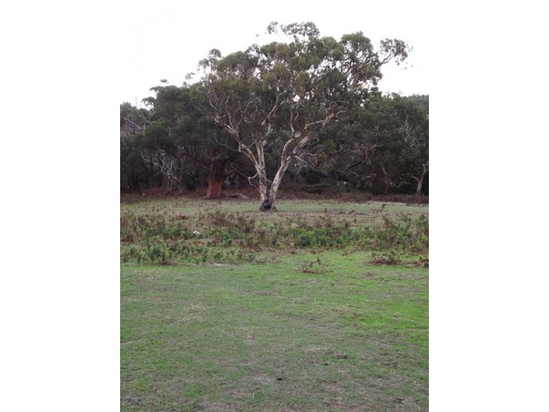 Lot 113, Lot 113 Taverner Road, Torrens Vale SA 5203