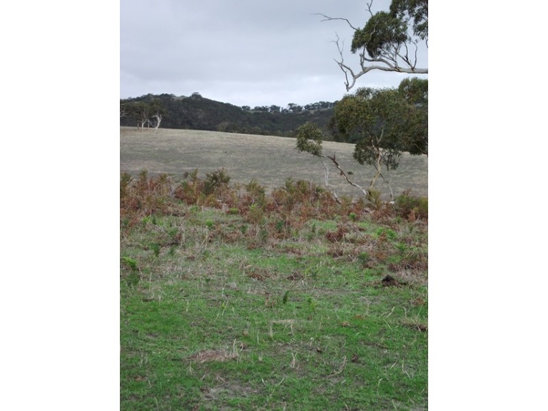 Lot 113, Lot 113 Taverner Road, Torrens Vale SA 5203