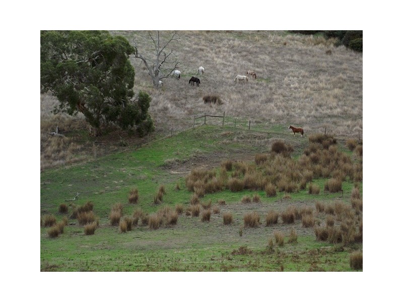 Lot 113, Lot 113 Taverner Road, Torrens Vale SA 5203