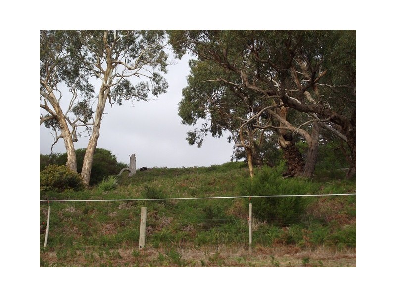 Lot 113, Lot 113 Taverner Road, Torrens Vale SA 5203