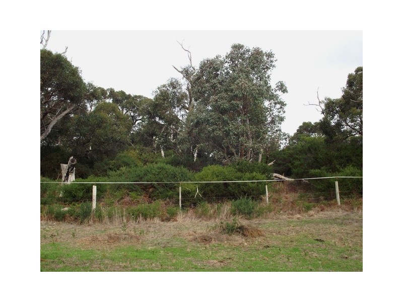 Lot 113, Lot 113 Taverner Road, Torrens Vale SA 5203