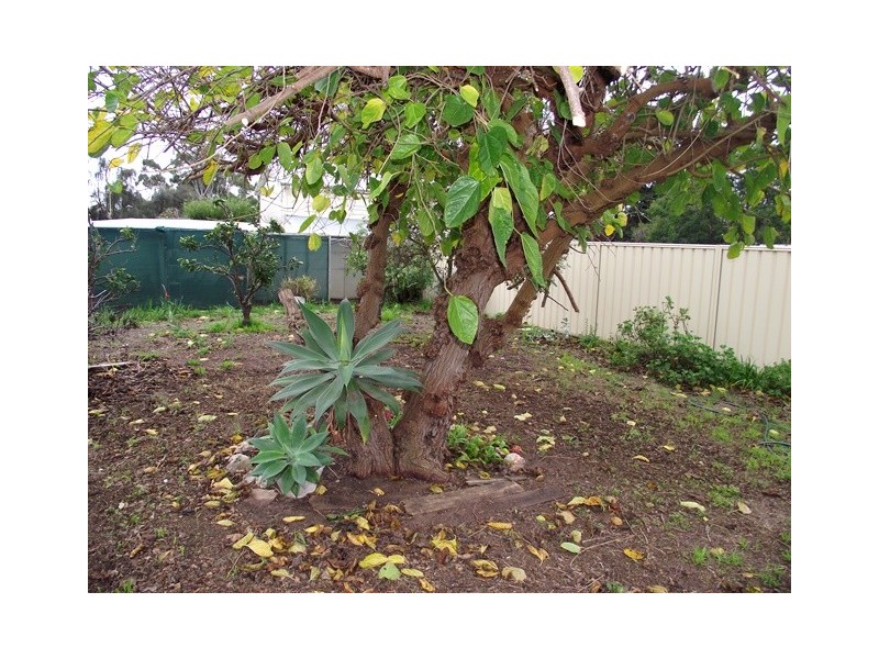 16 Norman Avenue, Normanville SA 5204