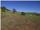 Lot 123 Turnberry Drive, Normanville SA 5204