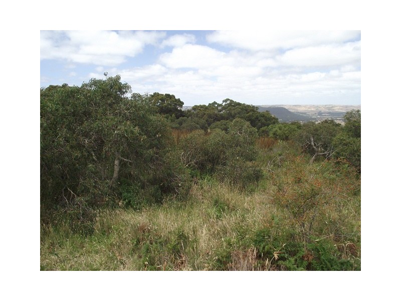 Lot 64, Lot 64 Braeburn Road, Hindmarsh Valley SA 5211