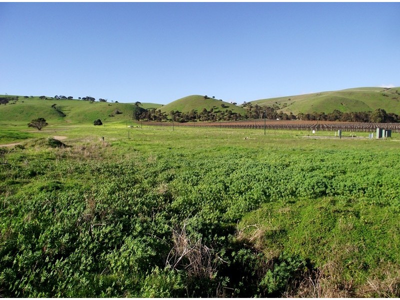 Lot 265 The Vines, Normanville SA 5204